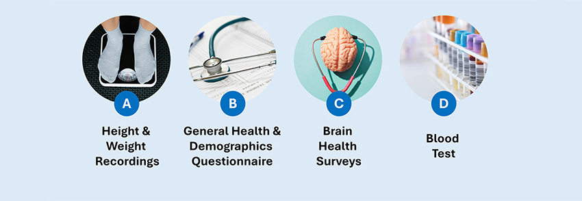 What to expect during the evaluation